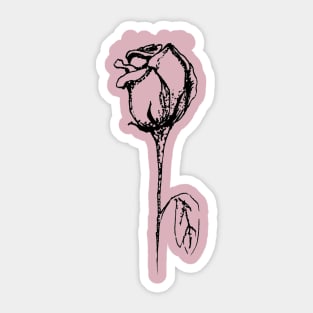 botanical tee Sticker